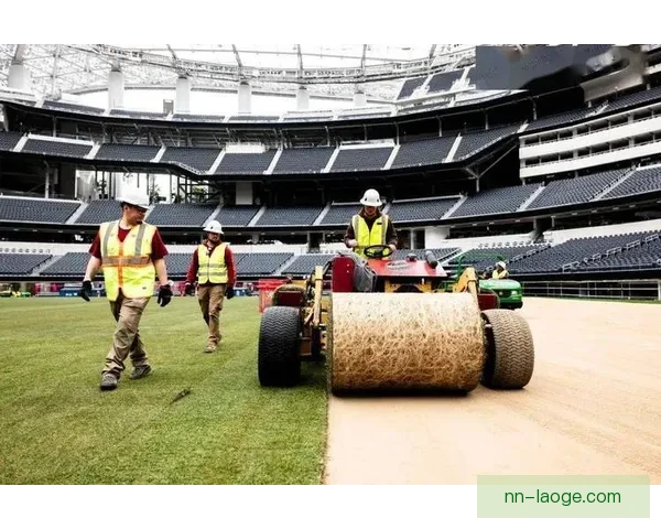 2026年世界杯北美赛场将全面采用创新混合草坪系统